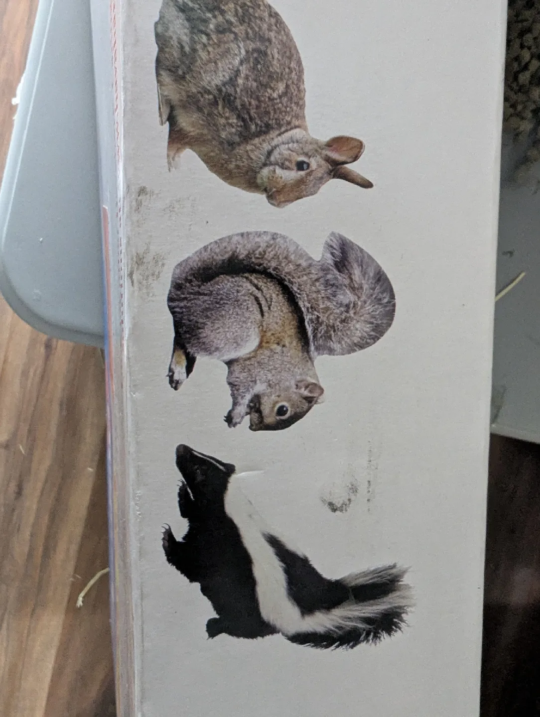 Havahart Easy Set Live Animal Cage Trap #1090 image indicator(3)