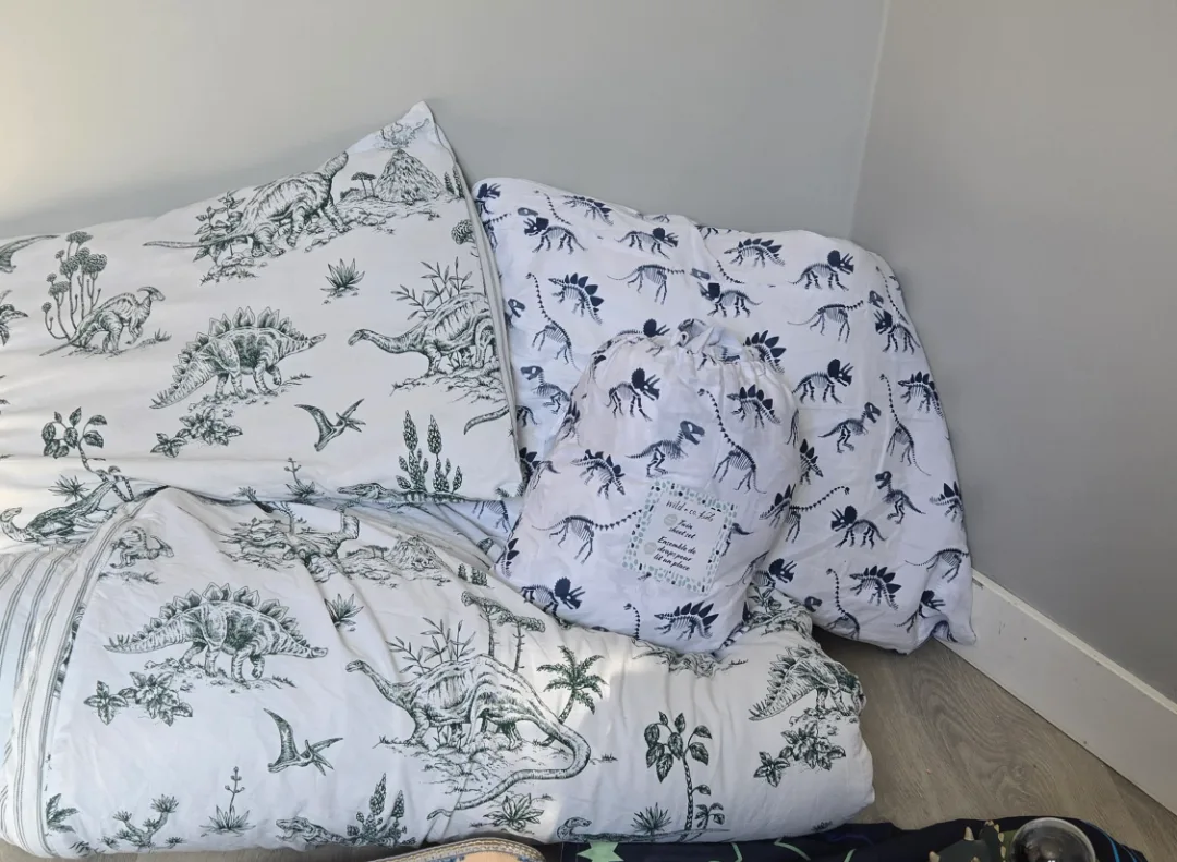 Twin Sheet Set and Comforter - Dinosaurs thumbnail