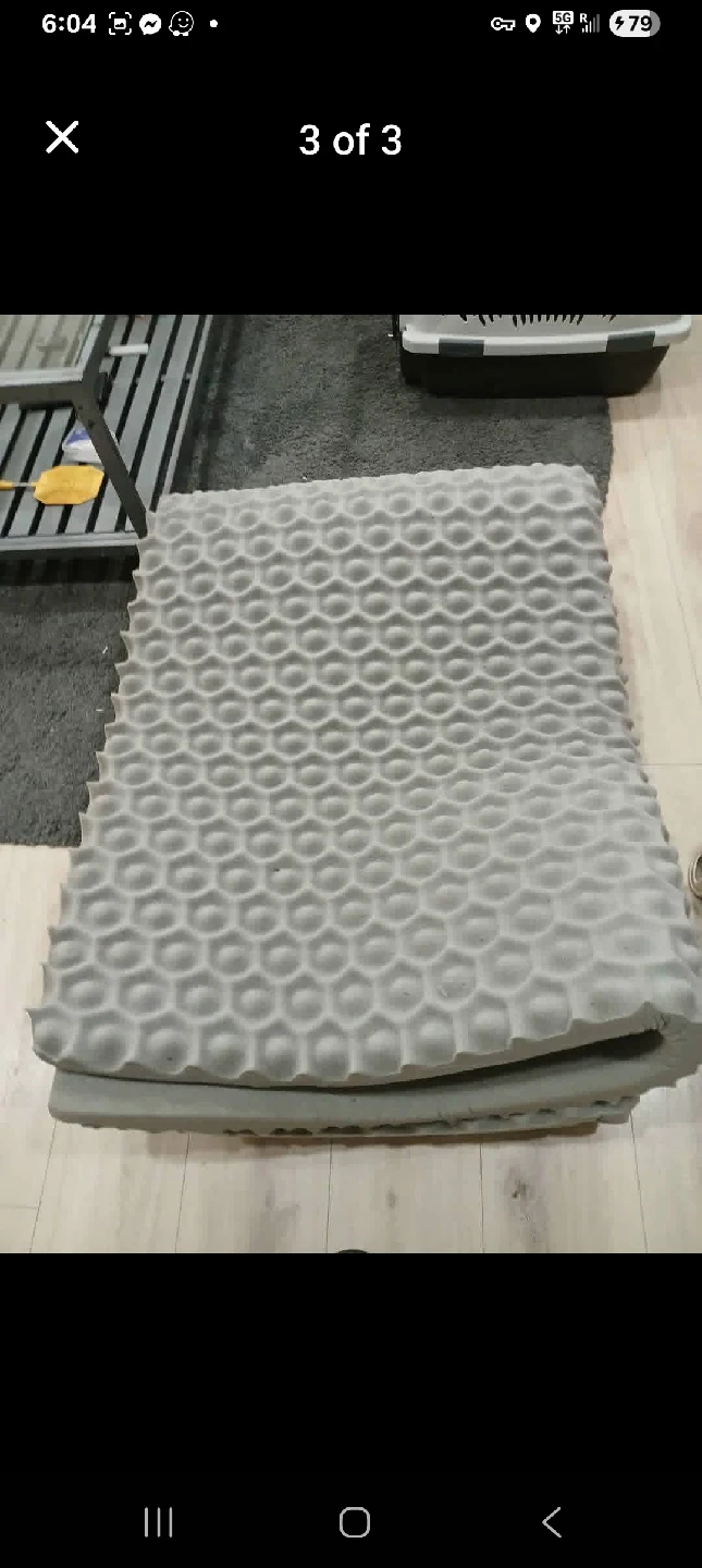 $30 Queen Mattress Topper 2 Inches With Storage Bag.