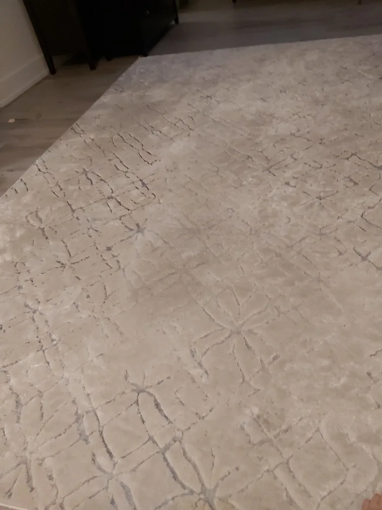 Area rug image indicator(6)