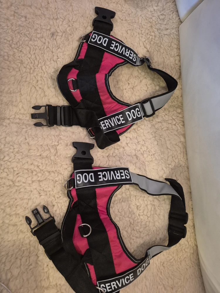 Service Dog Harnesses - Black & Pink