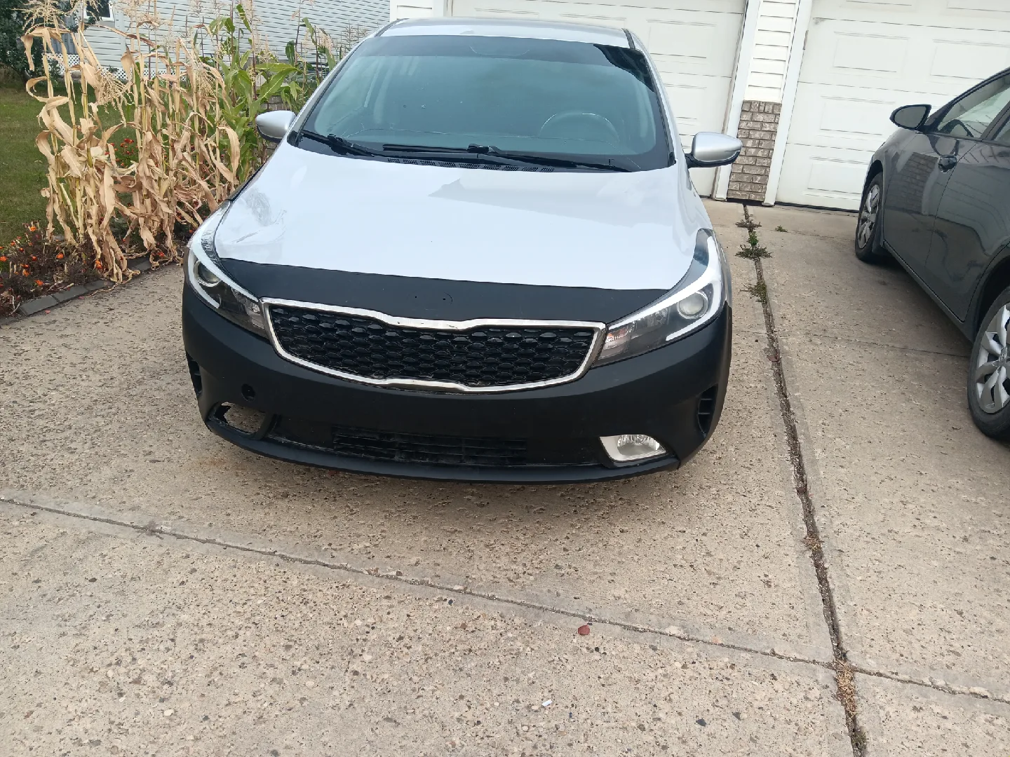 Silver Kia Forte  2017 image indicator(3)