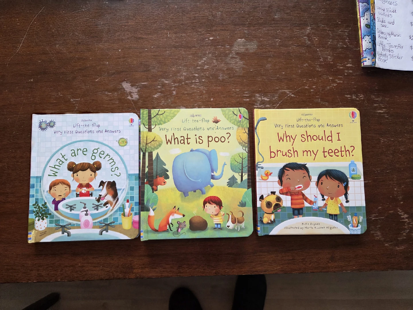 Big Selection of NEW Kids Books from Usborne! - photo 3