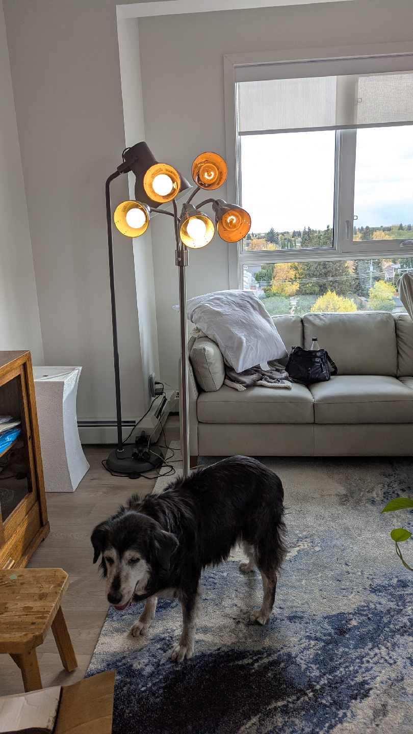 Modern Multi-Head Floor Lamp - photo 4
