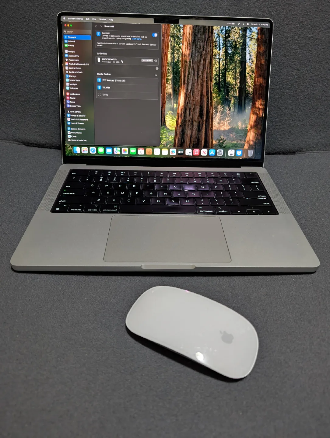 Apple Magic Mouse - White (2nd gen.) image indicator(4)