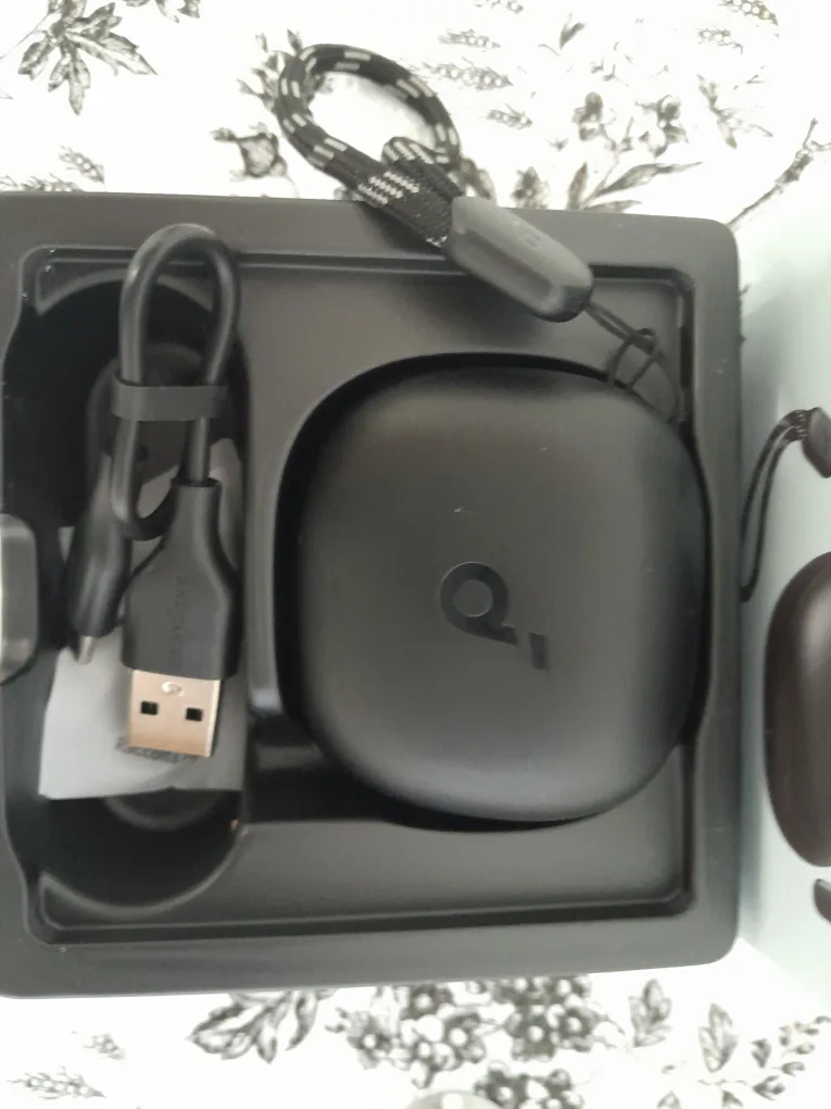 Soundcore by Anker P20i True Wireless Earbuds - New image indicator(4)