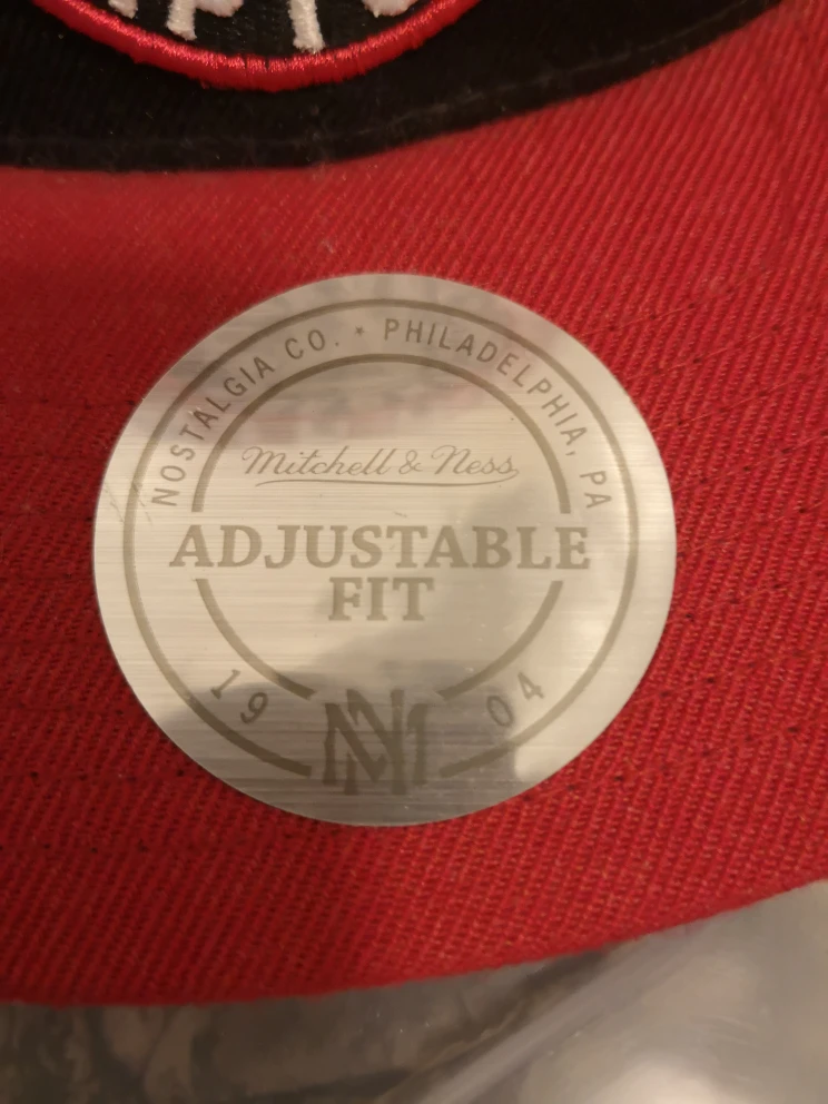 Toronto Raptors Mitchell & Ness Adjustable Hat - photo 2
