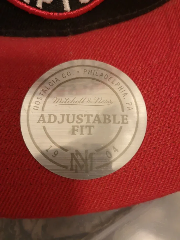 Toronto Raptors Mitchell & Ness Adjustable Hat image indicator(2)