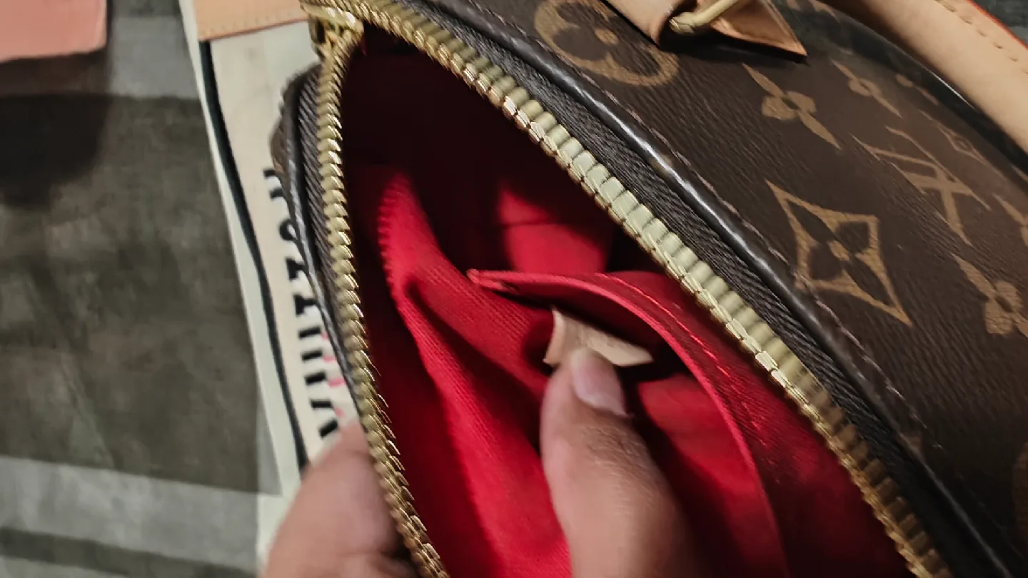 Louis Vuitton Speedy 20 image indicator(6)