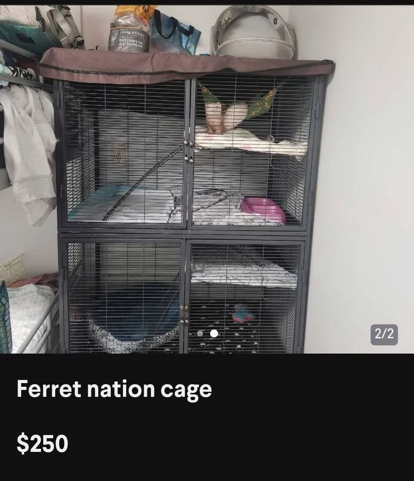 Critter Nation Cage for Ferrets+PENDING image indicator(4)