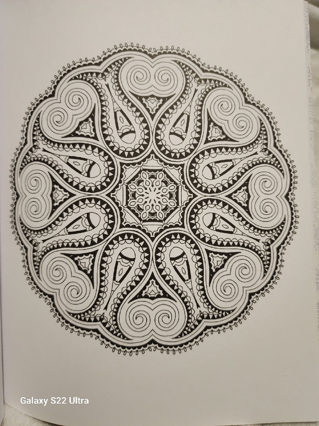 Colorama Coloring Book - Flowers, Paisleys, Stained Glass - photo 5