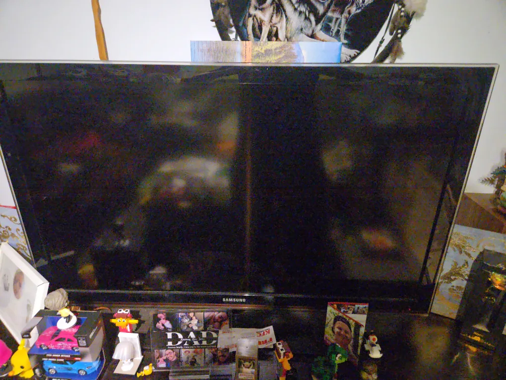 Samsung LN46D630 46 inch TV