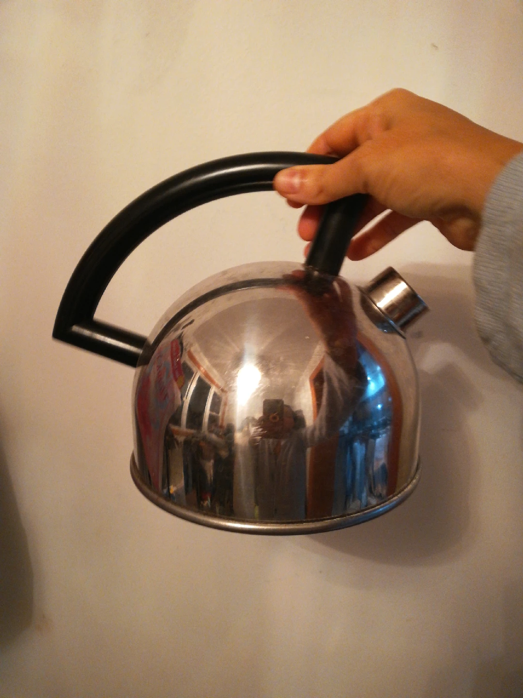 Stainless Steel Kettle