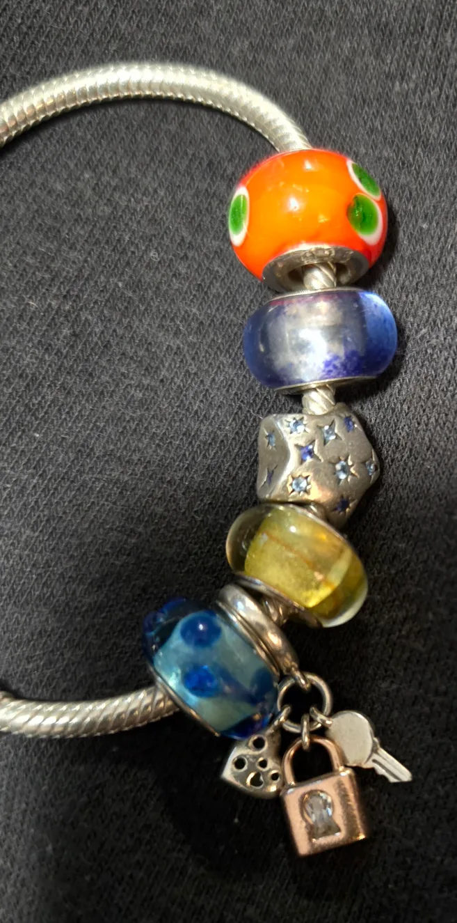 Pandora Charm Bracelet image indicator(2)