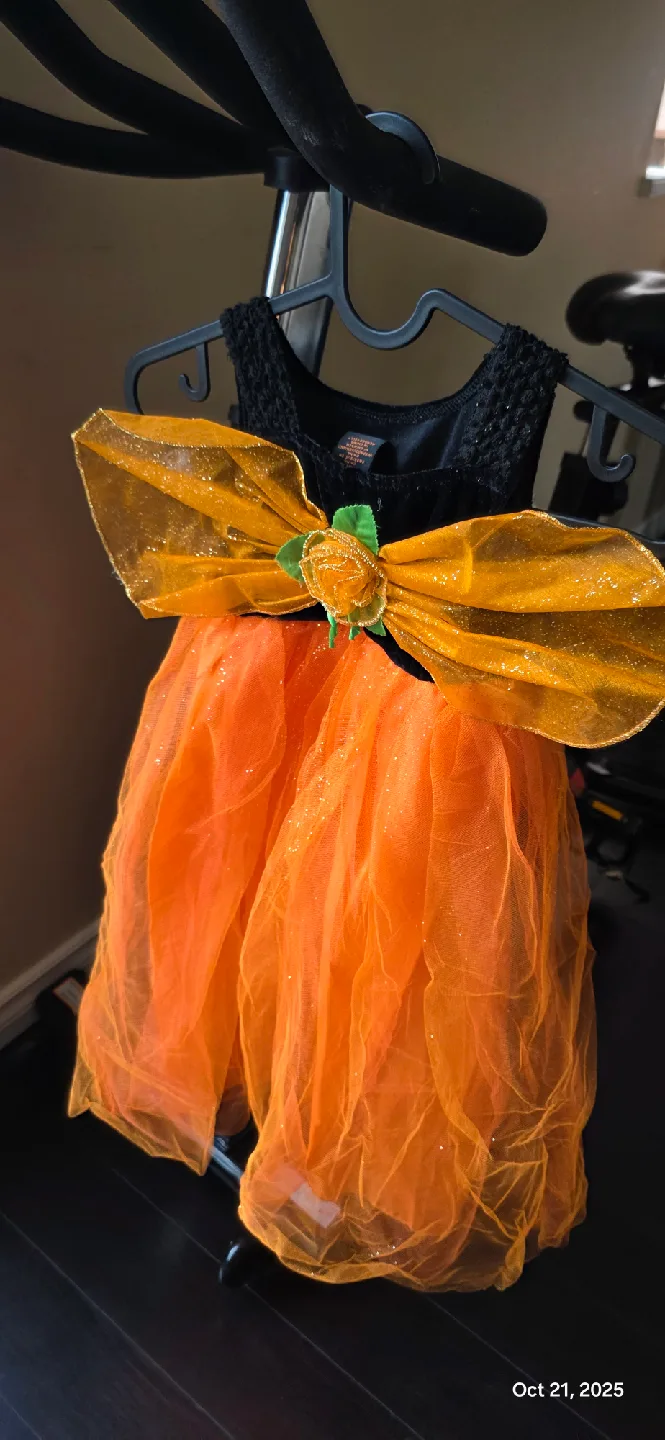 Orange & Black Halloween Costume Dress image indicator(2)