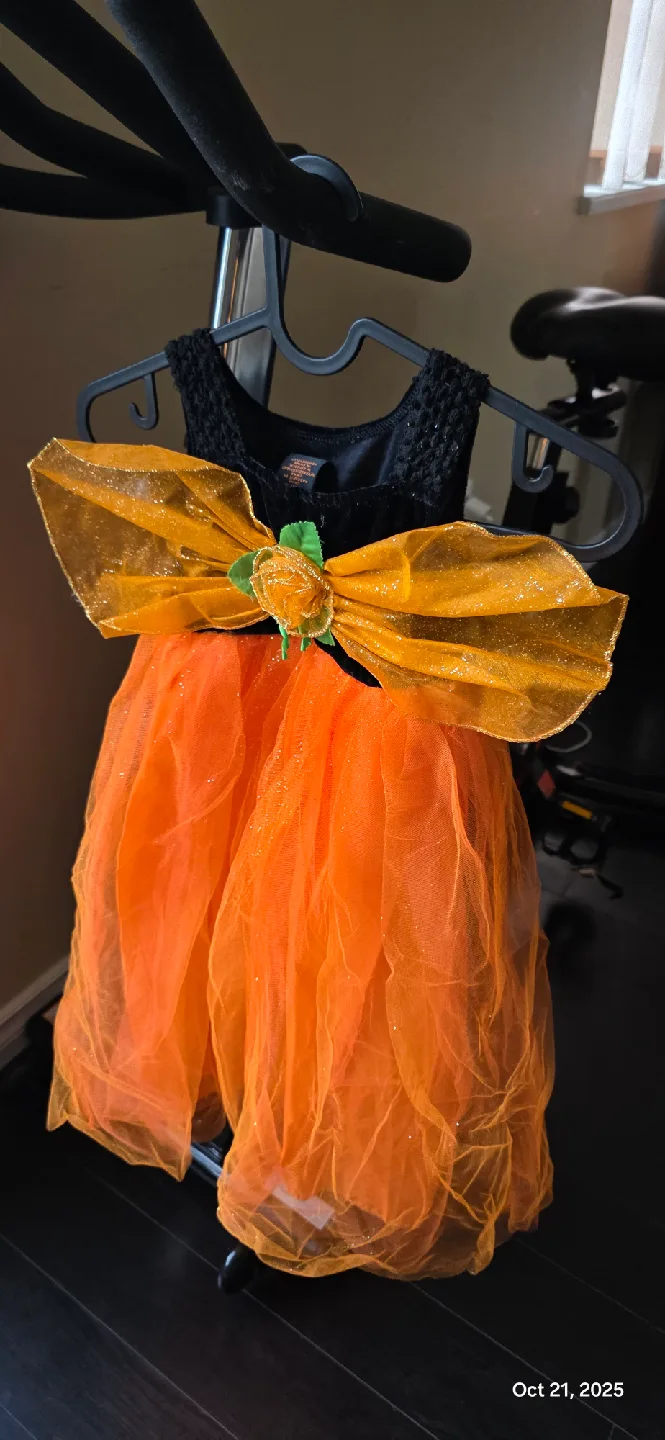 Orange & Black Halloween Costume Dress image indicator(3)