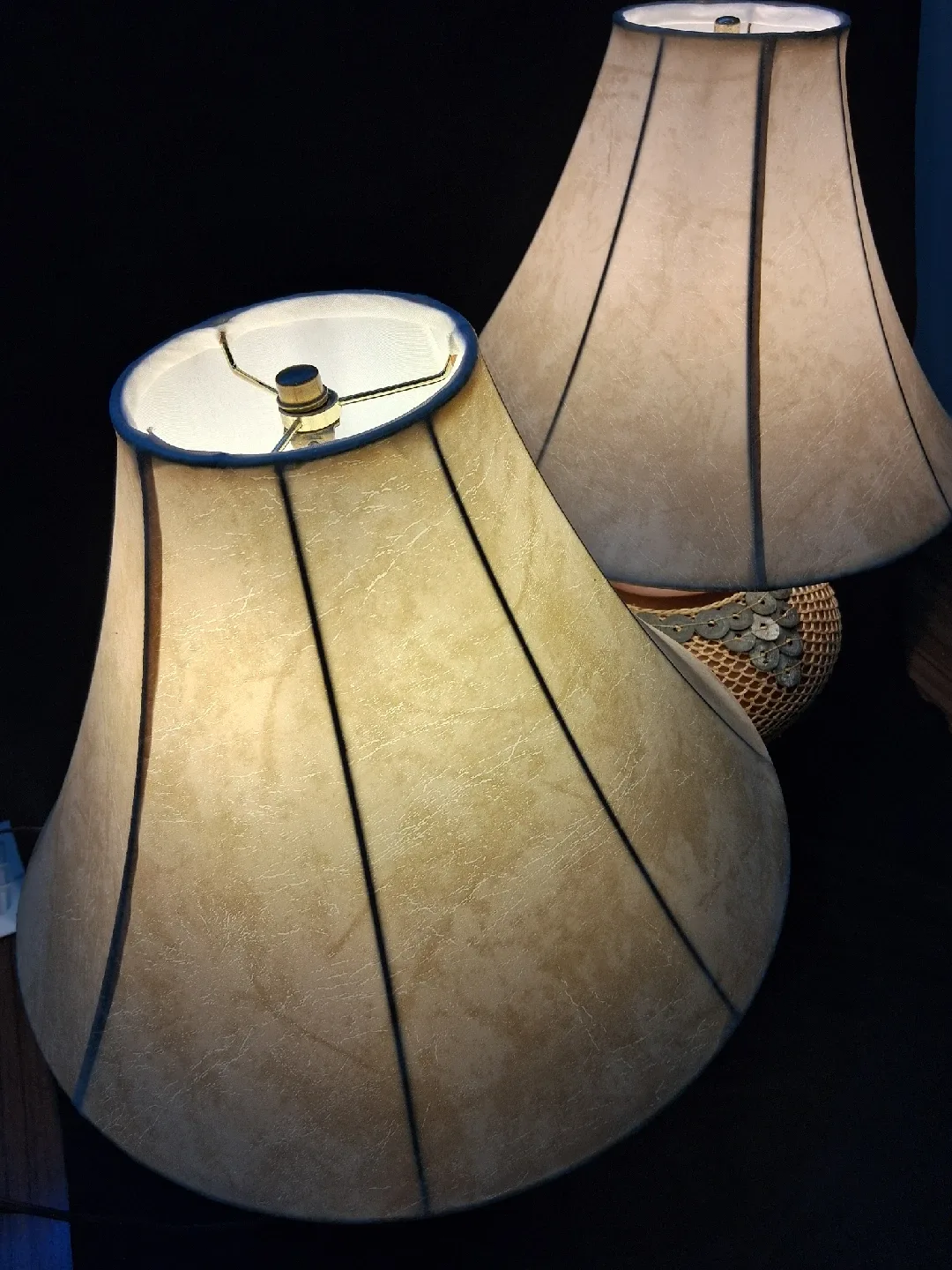 Pair of Decorative Lamps image indicator(4)