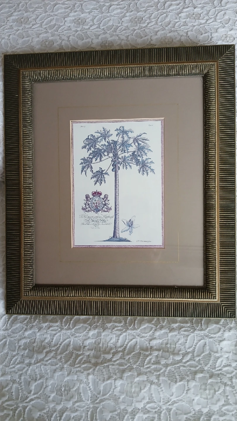 palm tree framed print for $10.00