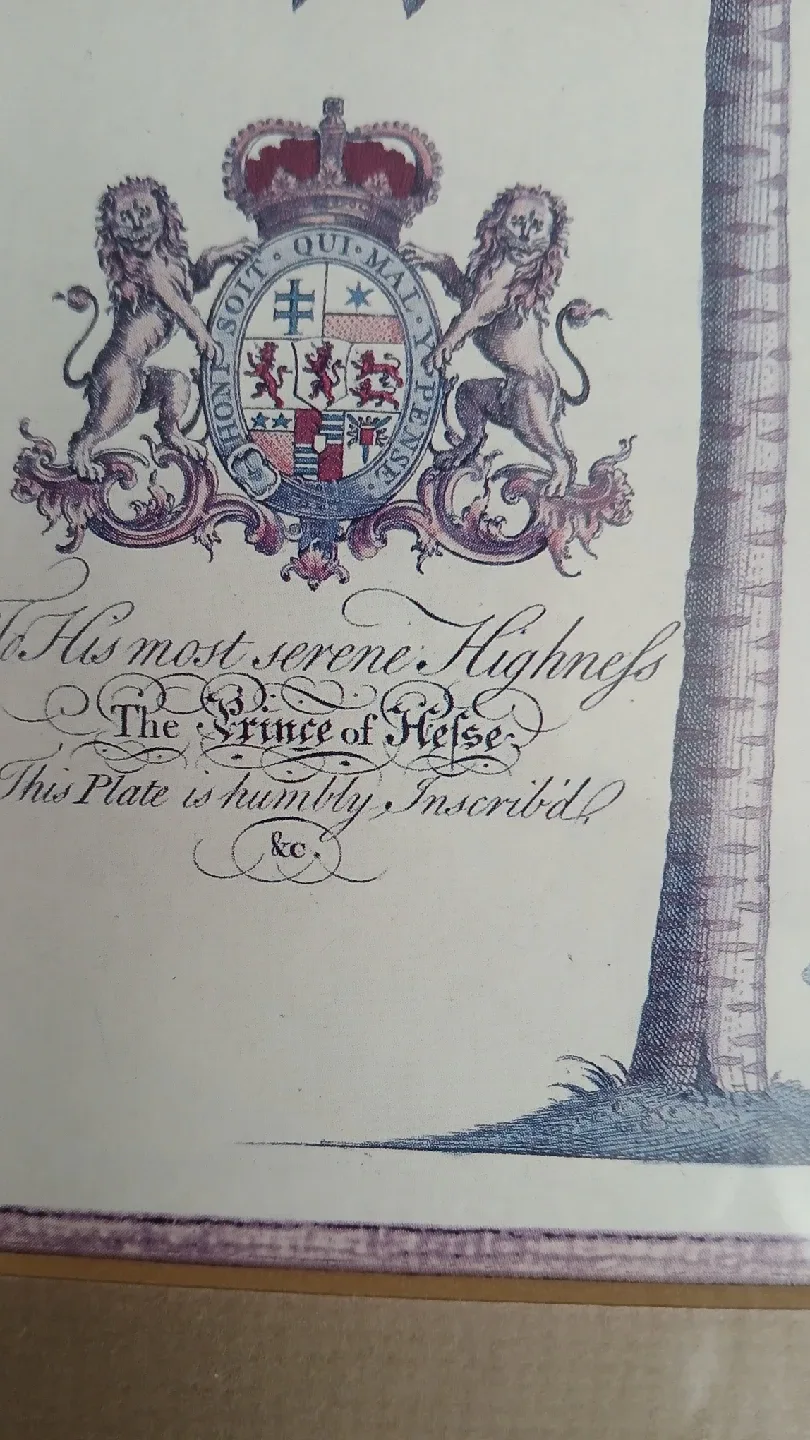 palm tree framed print for $10.00 image indicator(2)