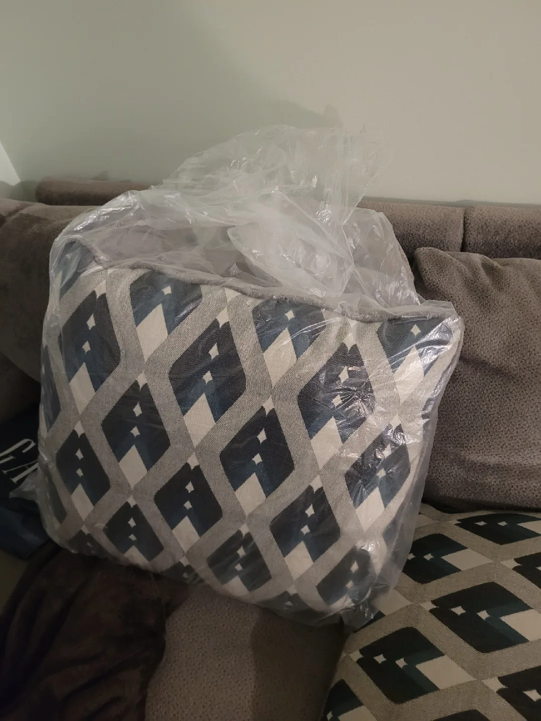 Assorted Decorative Pillows image indicator(4)