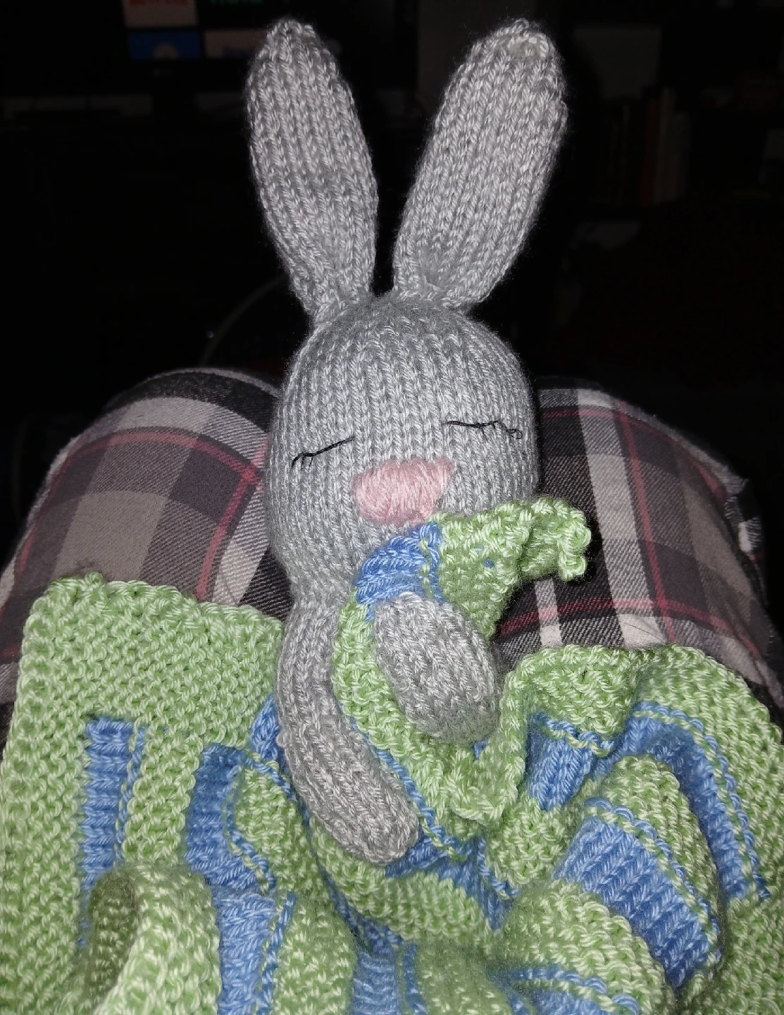 Snuggle Bunny - photo 3