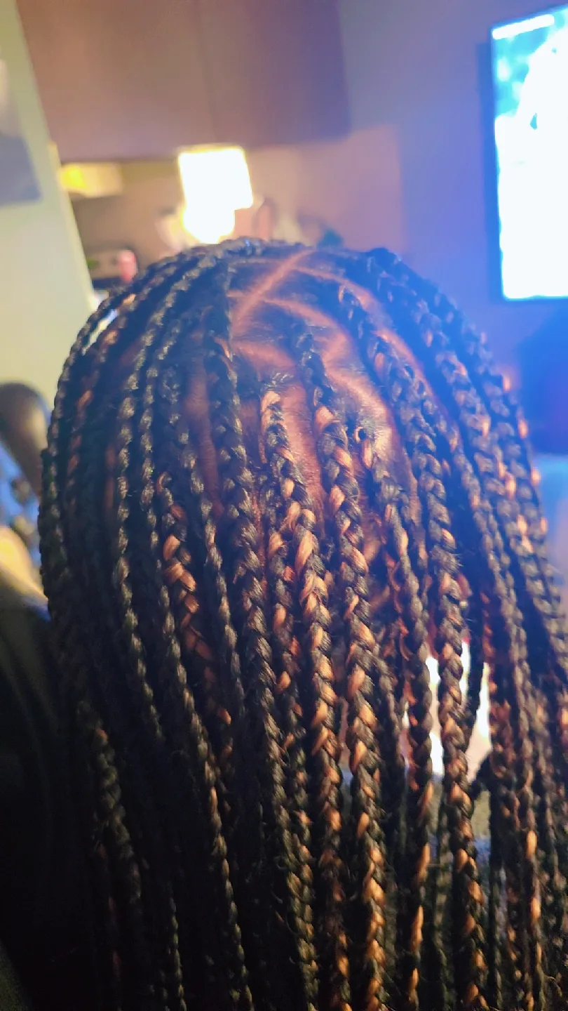 braid image indicator(5)