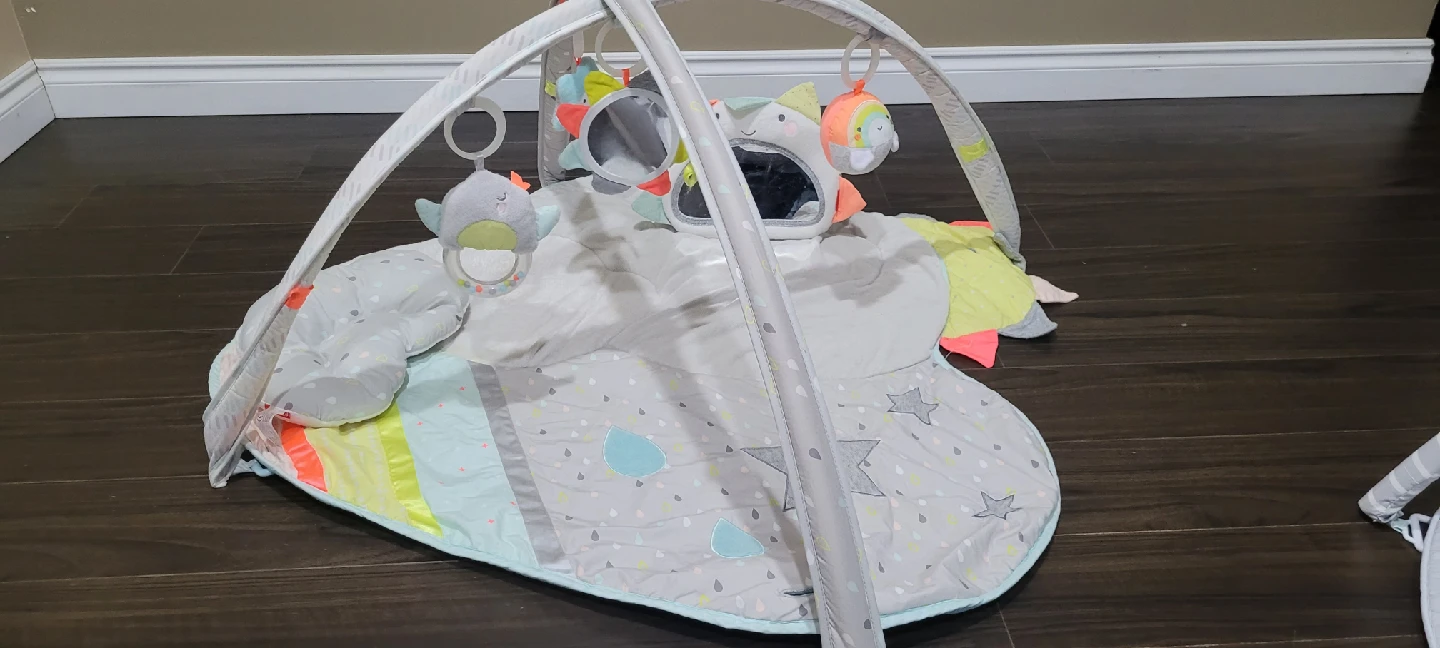 Skip hop Baby Play Mat with Activity Gym