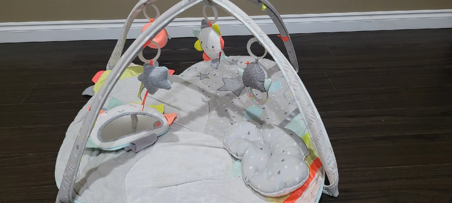 Skip hop Baby Play Mat with Activity Gym - photo 4