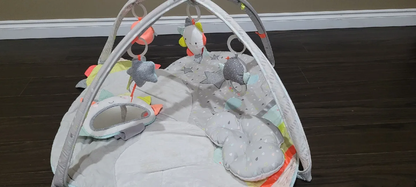 Skip hop Baby Play Mat with Activity Gym image indicator(4)