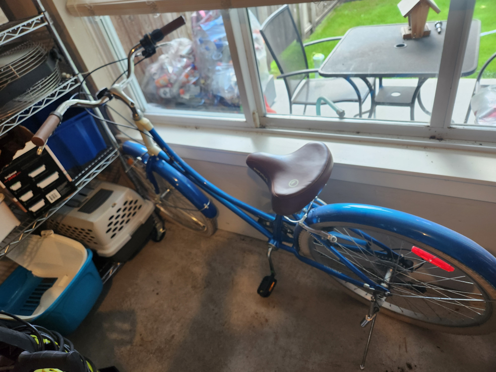 Blue Cruiser Bike