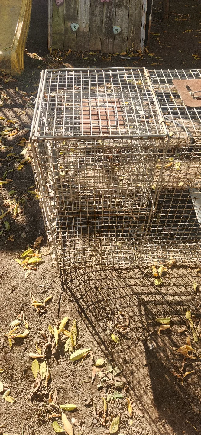 Havahart Easy Set Live Animal Cage Trap image indicator(6)