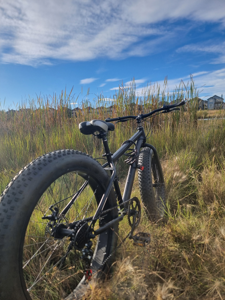 Fat tire Bike - photo 5