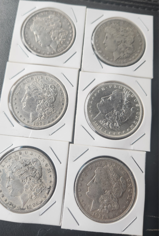 Morgan Silver Dollars - 6 Coins