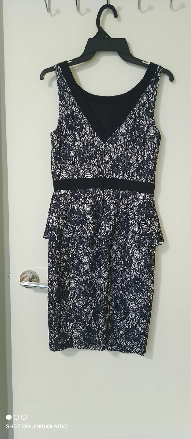 Le Chateau Black & White Lace Dress - Size 4 🥕 image indicator(2)