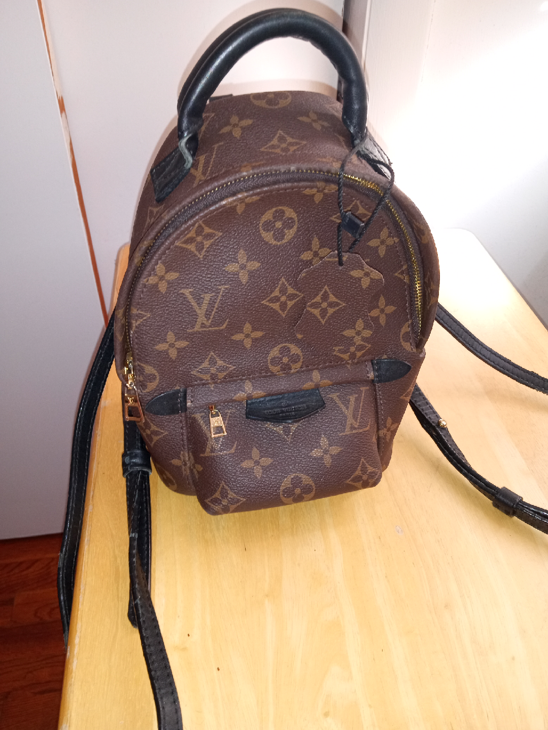 Louis Vuitton Palm Springs Mini Backpack - photo 2