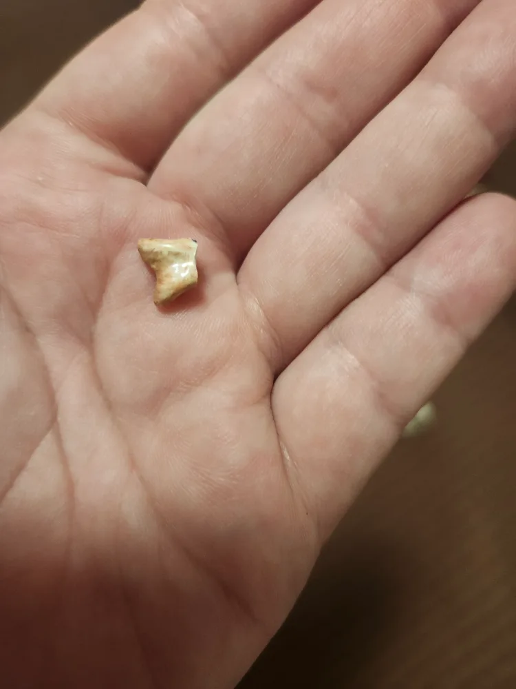 Goebel W.Germany Hummel Figurines & a wall display case image indicator(6)