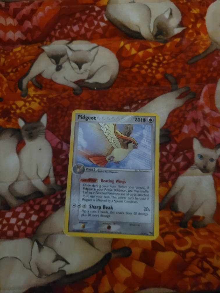 Pidgeot Pokemon Card