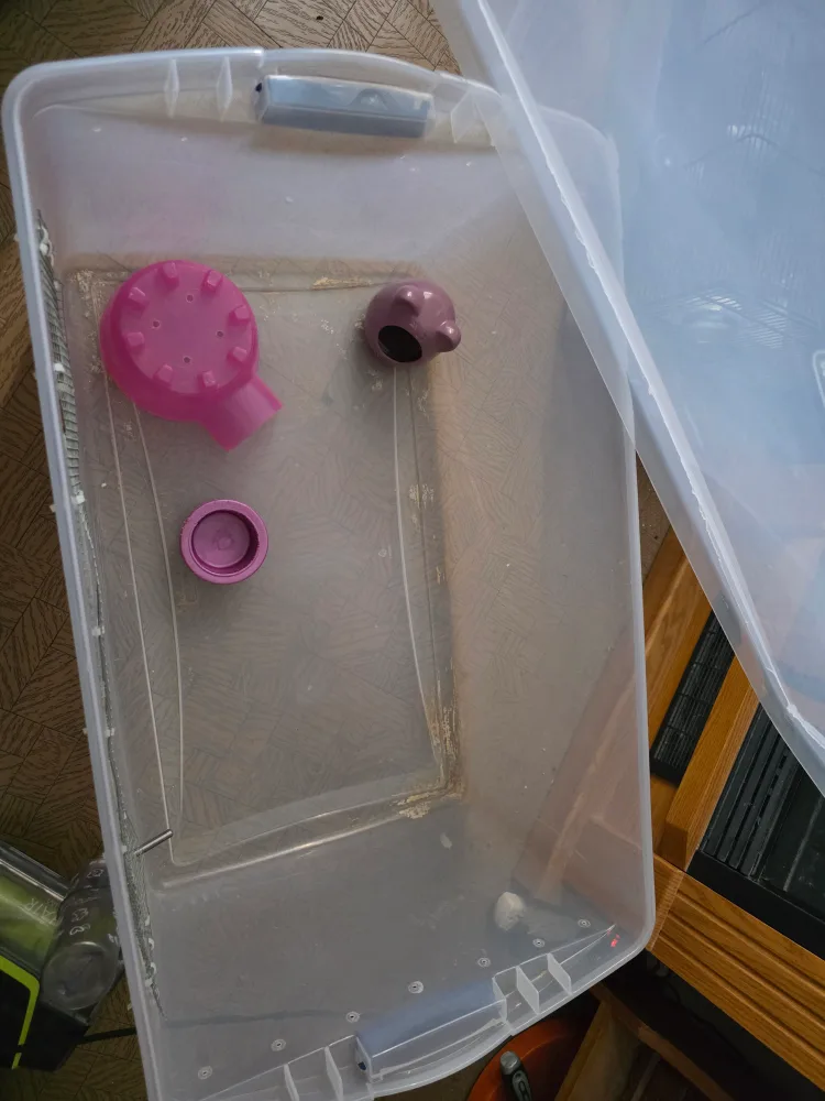 DIY Hamster Cage image indicator(2)