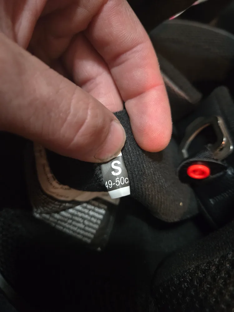 Raider Pink & Black Youth Helmet - Size S & L image indicator(3)