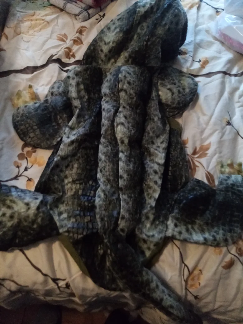 lizard costume image indicator(2)