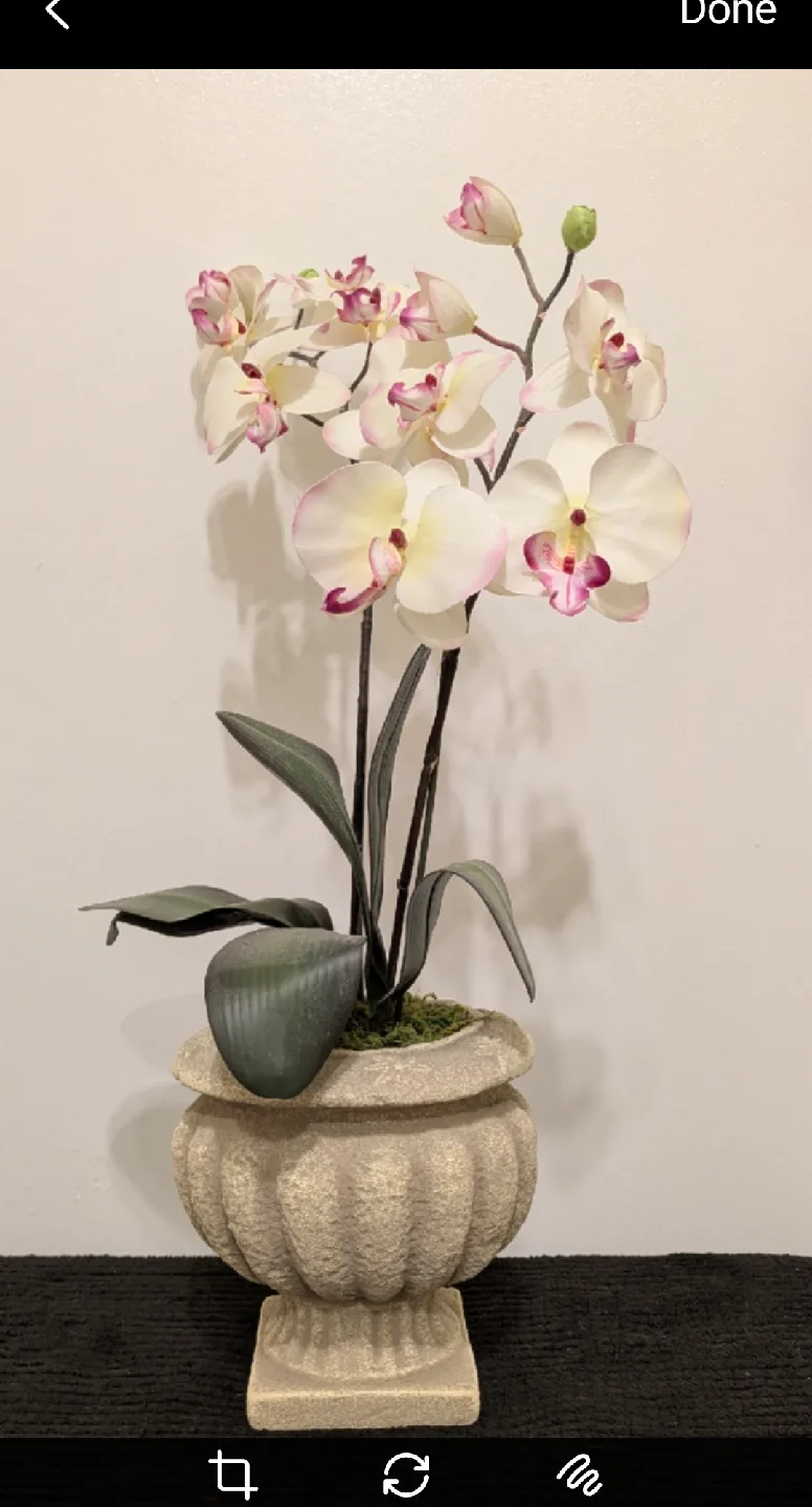 comment article thumbnail