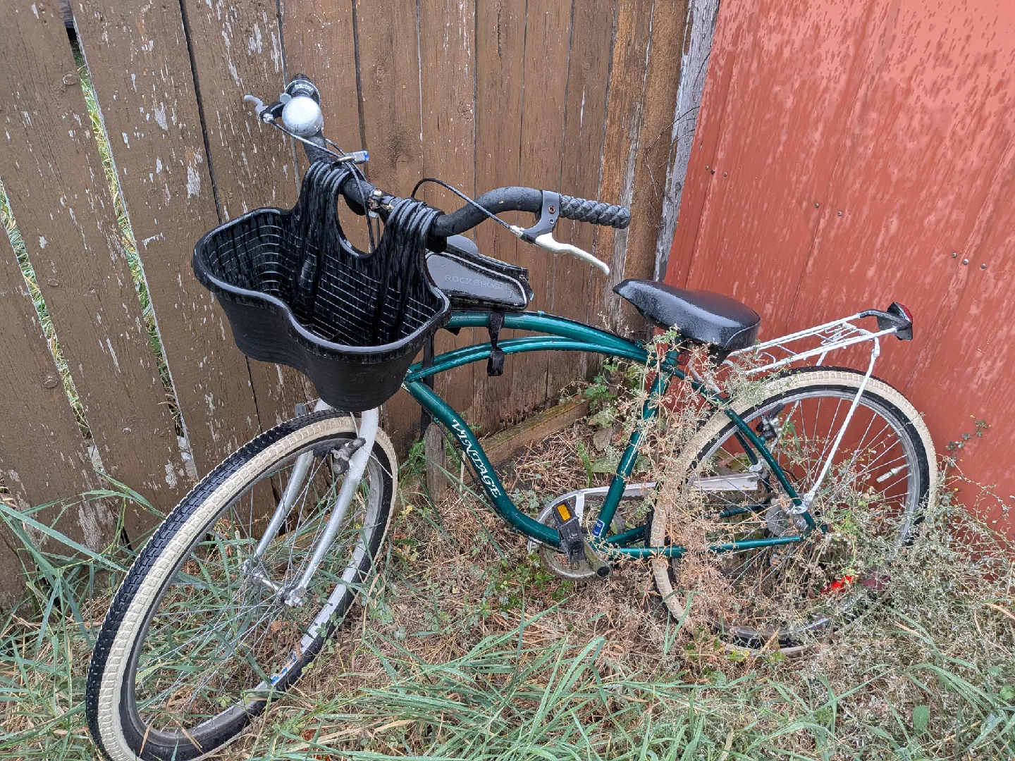 Vintage Cruiser Bike - Green image indicator(3)