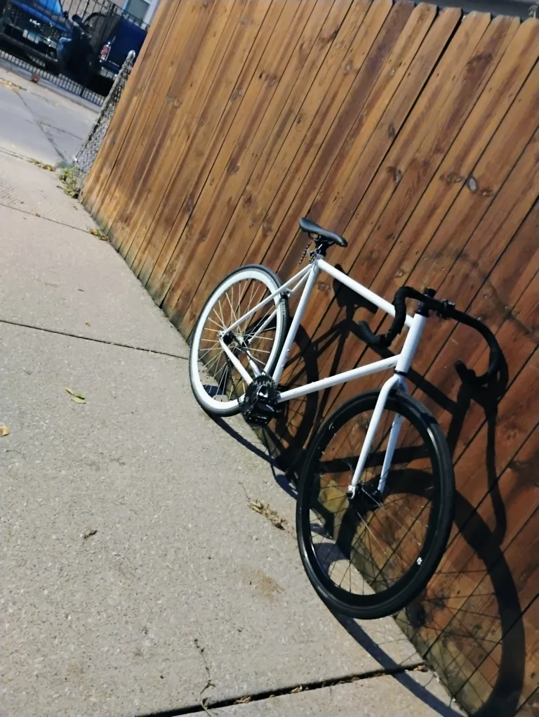 White Retrospect fixie image indicator(5)