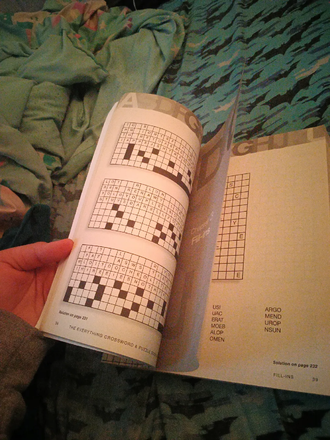 The Everything Crossword & Puzzle Book Vol II image indicator(5)