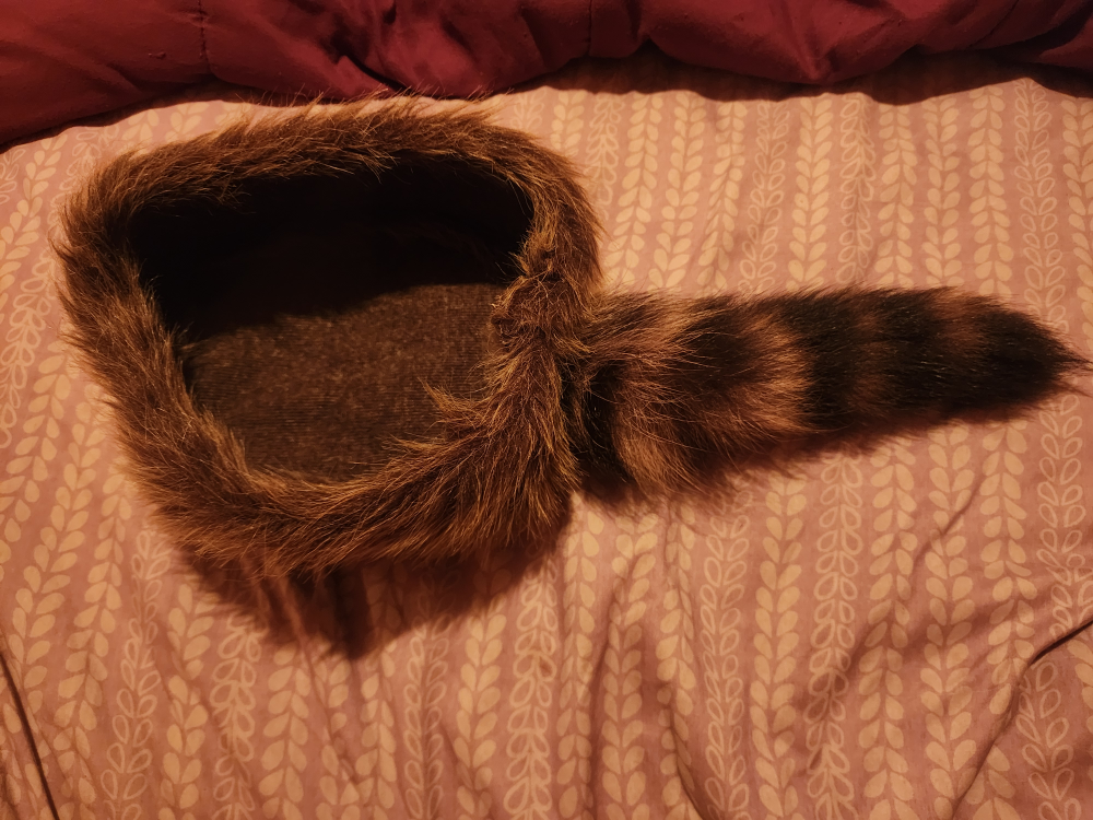Naruto - Enter: Naruto, Volume 1 DVD + Squirrel hat CASH ONLY - photo 2