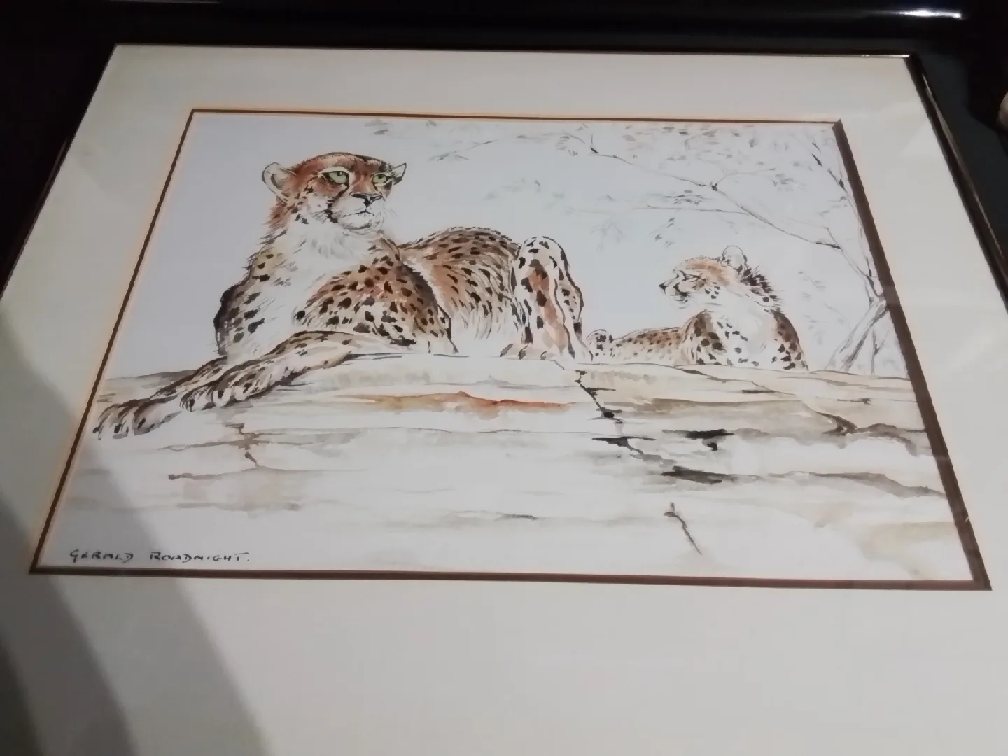 Gerald Roadnight Cheetah Watercolor Painting image indicator(4)