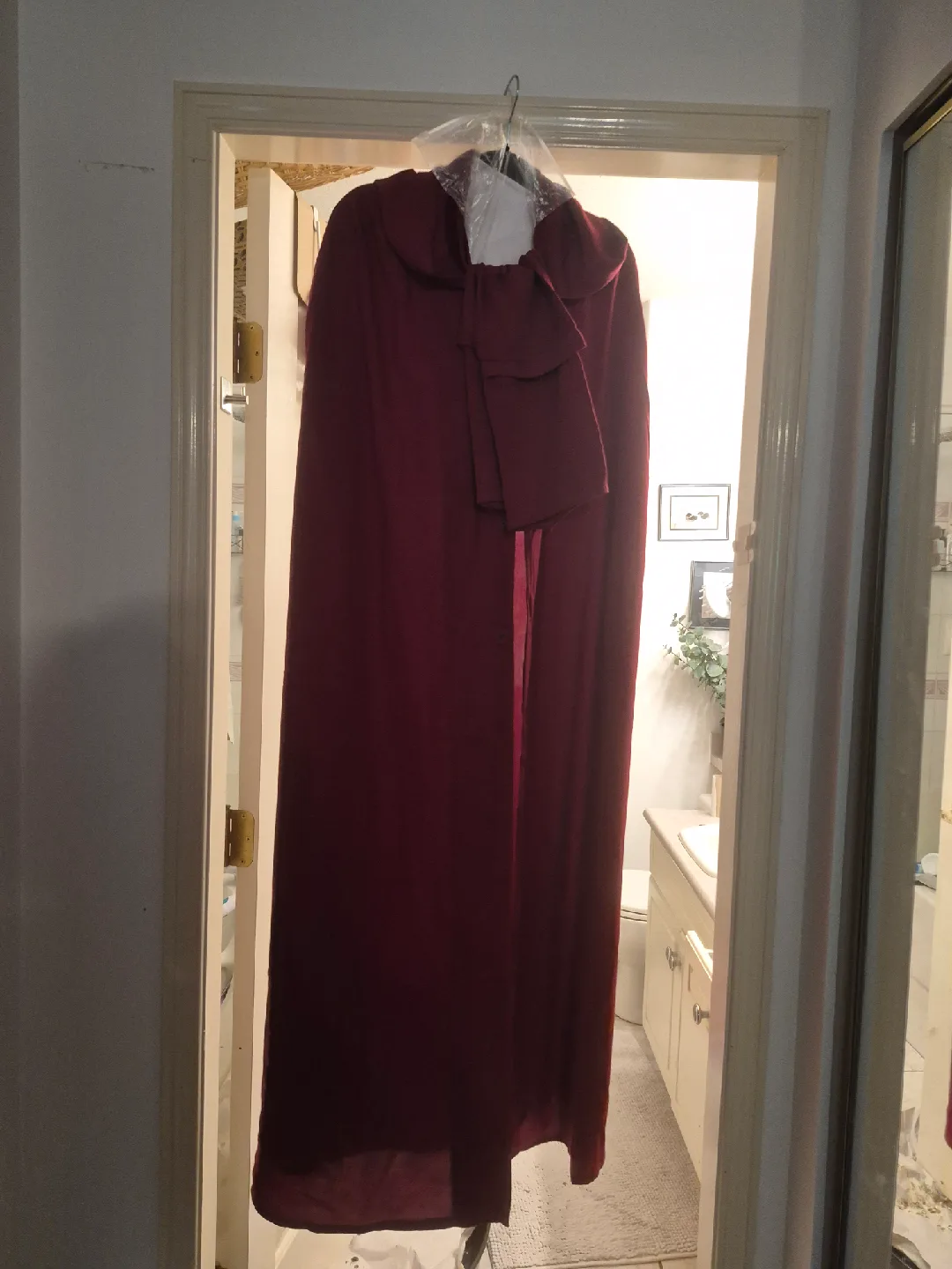 Handmaid's Tale (halloween) costume image indicator(2)