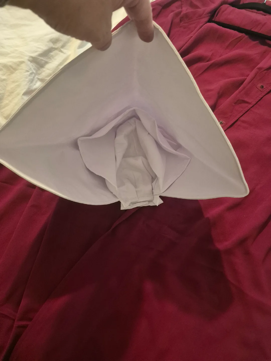 Handmaid's Tale (halloween) costume image indicator(4)