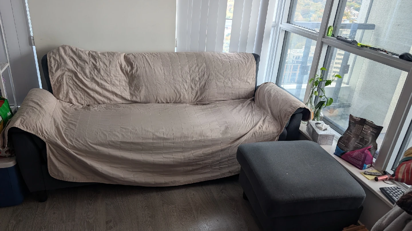 Grey Sofa and Ottoman Set - photo 3