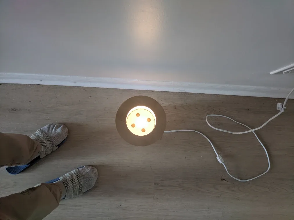 Novelty Accent Lamp image indicator(5)